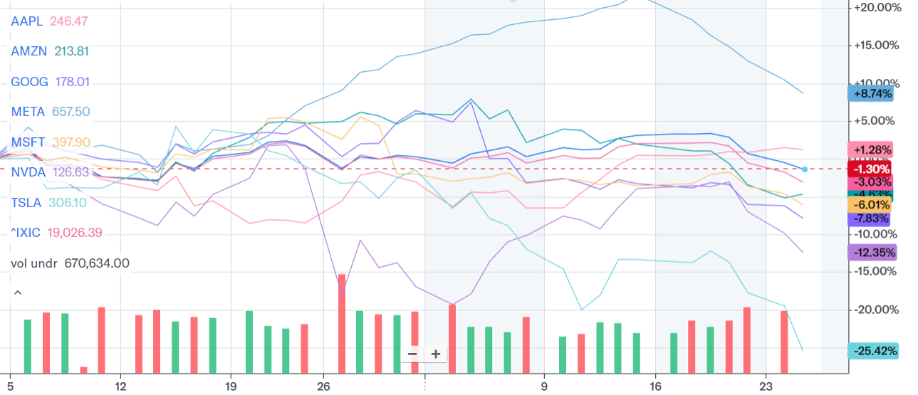 Mag 7 YTD Performance